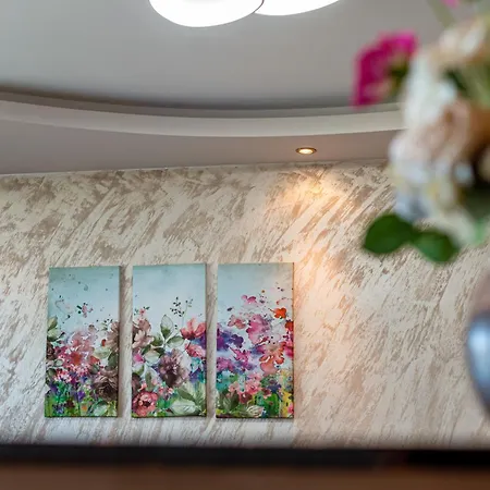 Rosina * 普罗夫迪夫